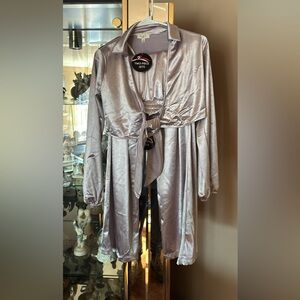 Silver Satin Long Sleeve Dress